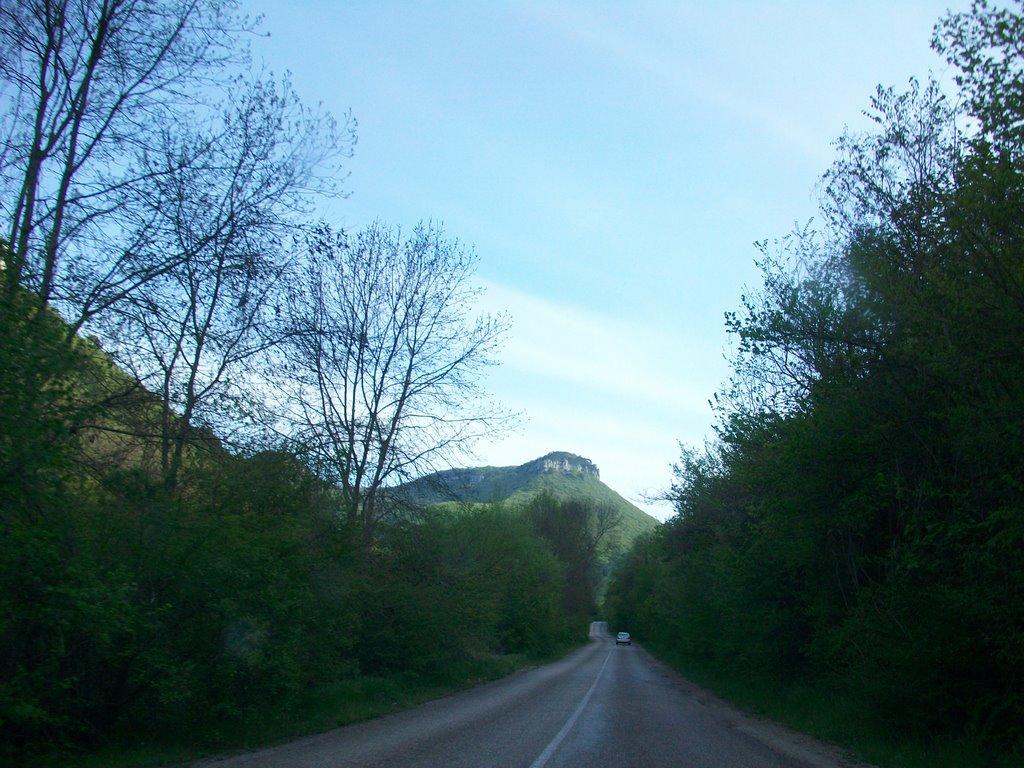 Залісне з panoramio.com (ч.2) - Залісне
