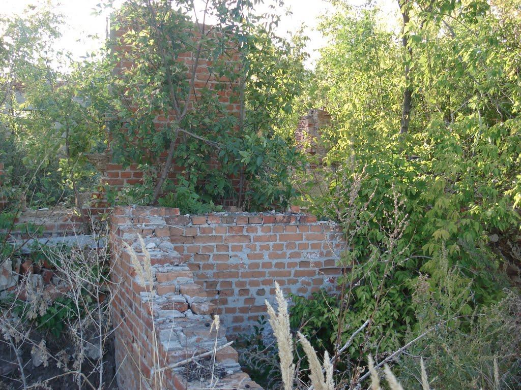 Берека з panoramio.com - Берека