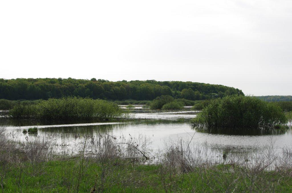 Крутоярівка з panoramio.com - Krutoyarivka