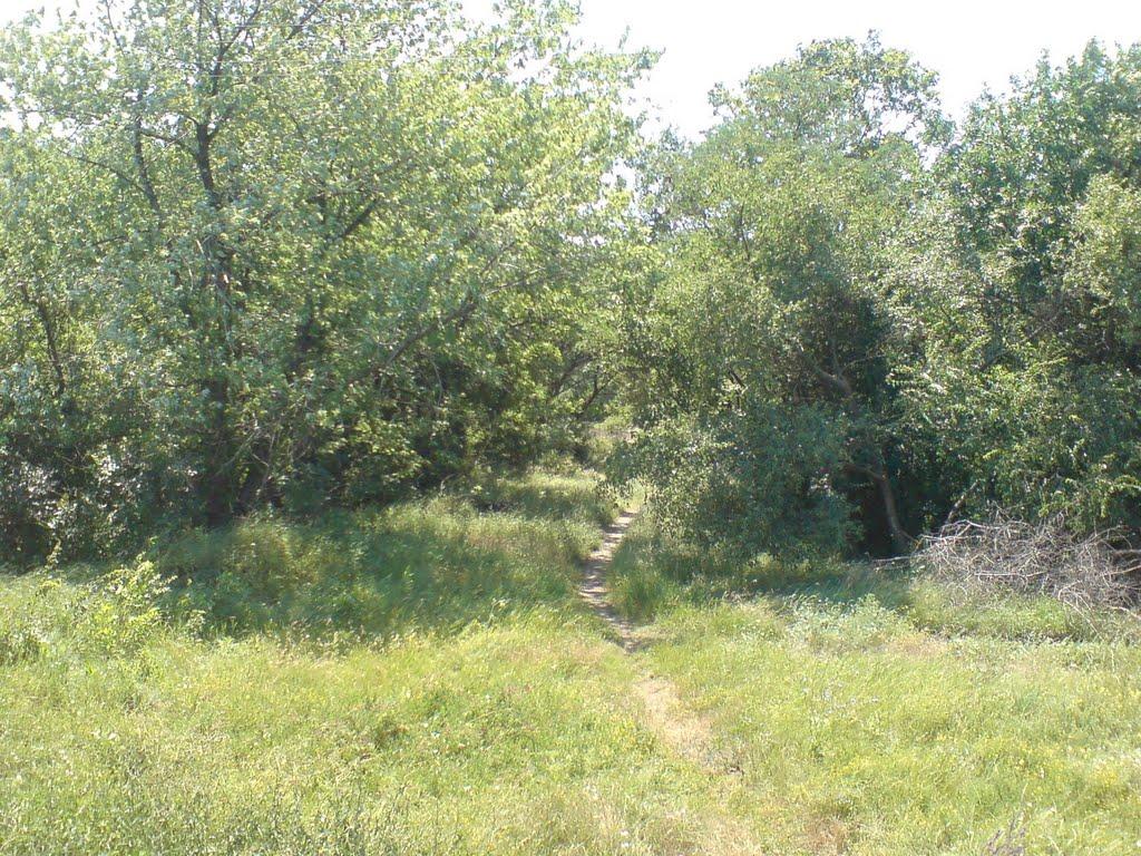 Бердянськ з panoramio.com (ч.3) - Бердянск