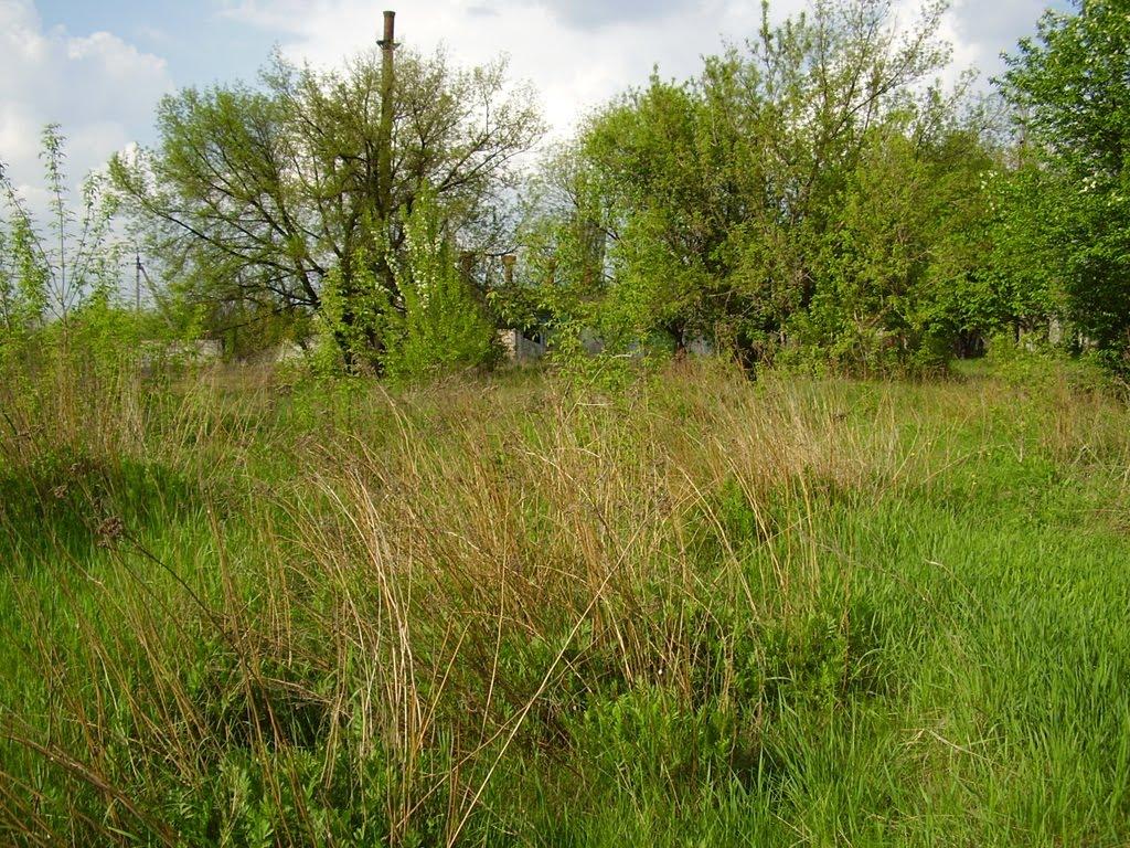 Попасна з panoramio.com - Попасна