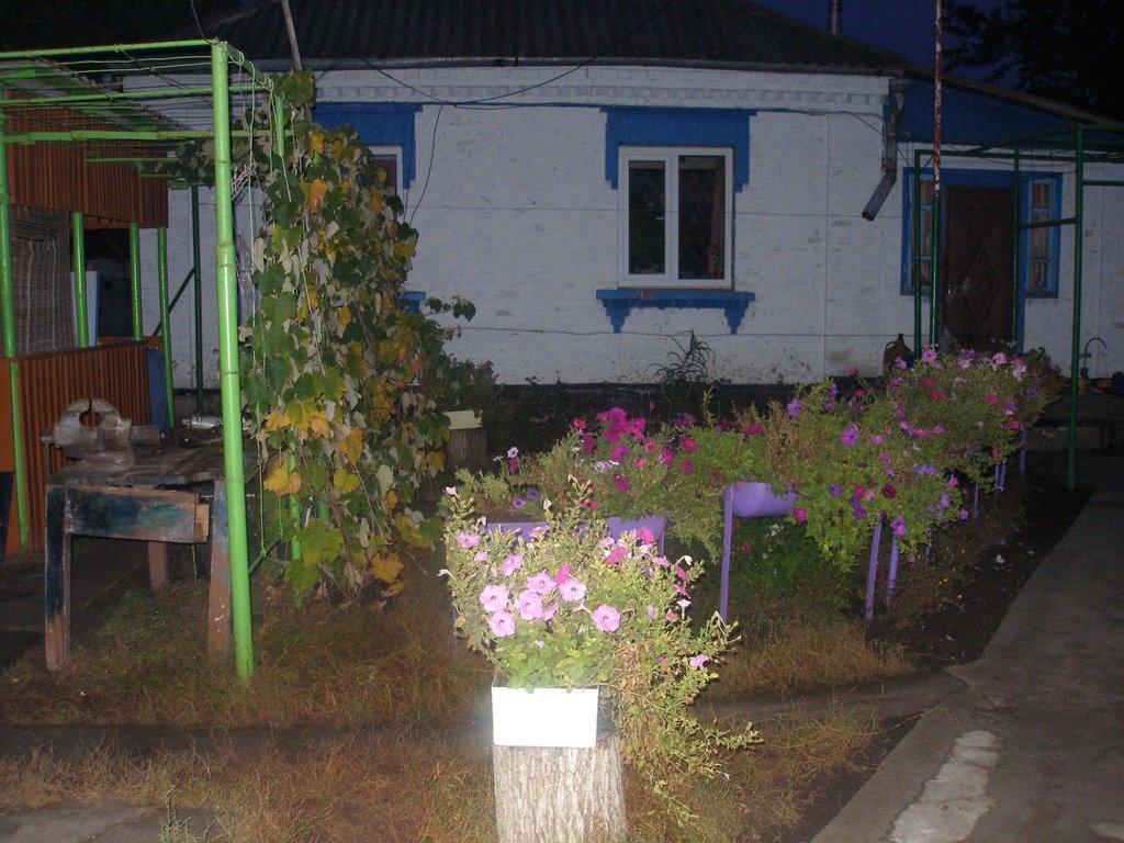 Узин з panoramio.com - Узин