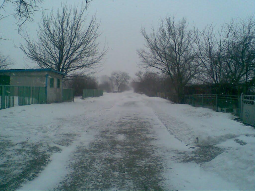 Зачатівка з panoramio.com - Зачатівка