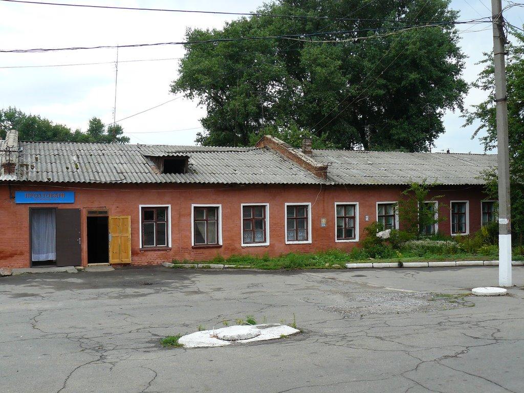 Протопопівка з panoramio.com - Протопопівка