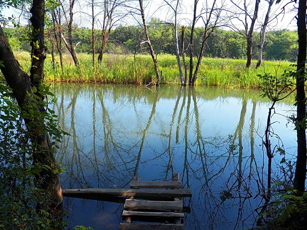 Єнакієве з panoramio.com (ч.3) - Єнакієве