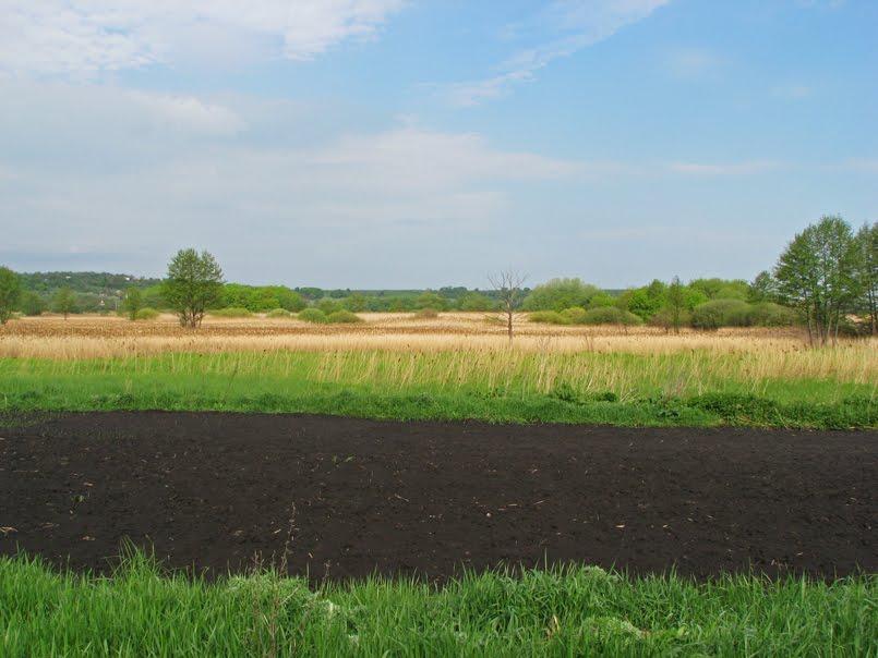 Литвинівка з panoramio.com - Литвиновка