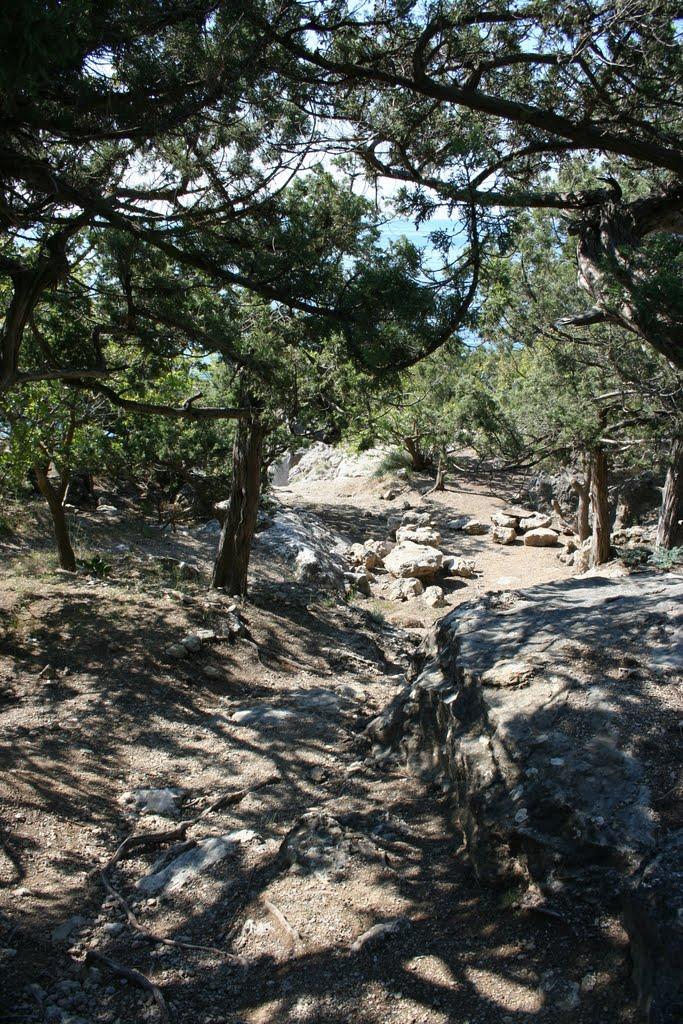 Новий Світ з panoramio.com (ч.4) - Новий Світ