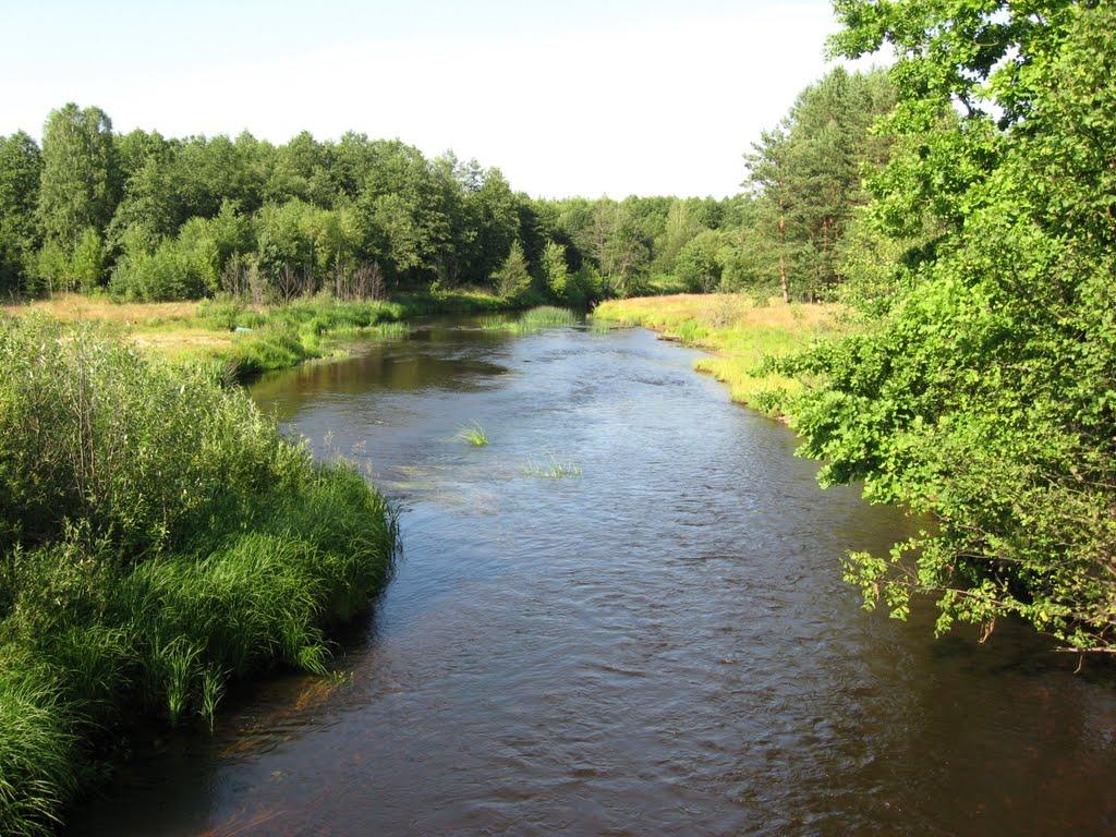 Ігнатпіль з panoramio.com - Игнатполь