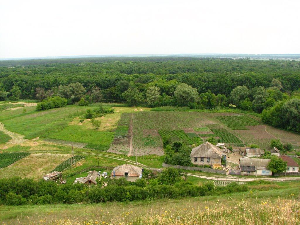Петренкове з panoramio.com - Петренково