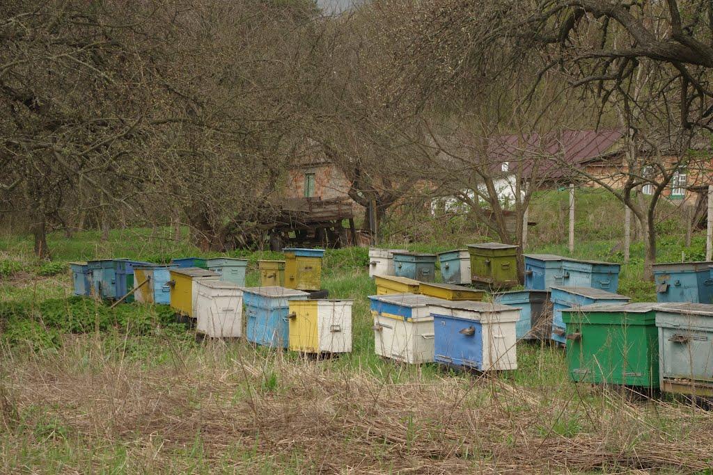 Лубенці з panoramio.com - Lubentsi