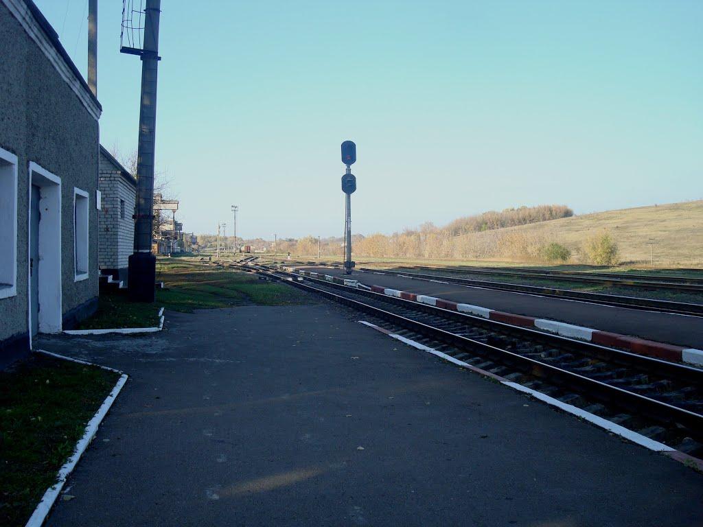 Томашівка з panoramio.com - Томашівка