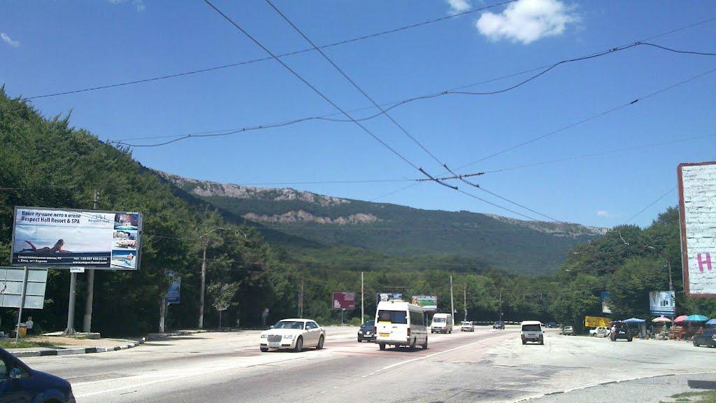 Лаванда з panoramio.com (ч.2) - Лаванда