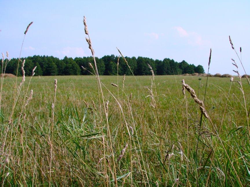 Брусилів з panoramio.com - Брусилів