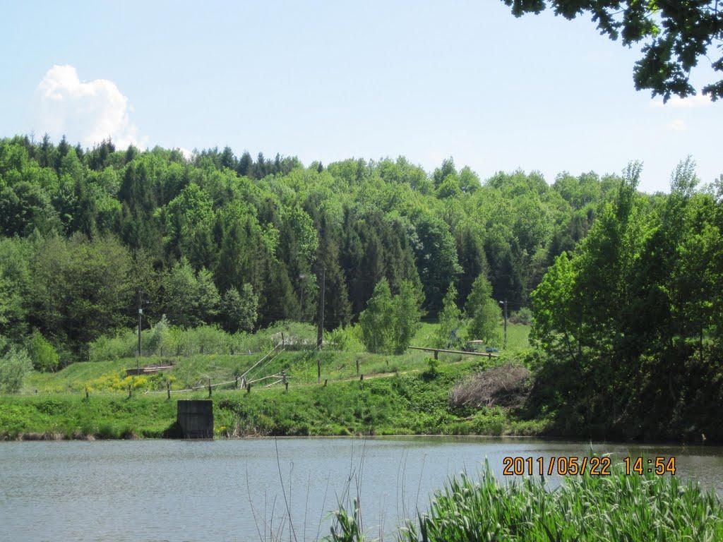 Панка з panoramio.com - Панка