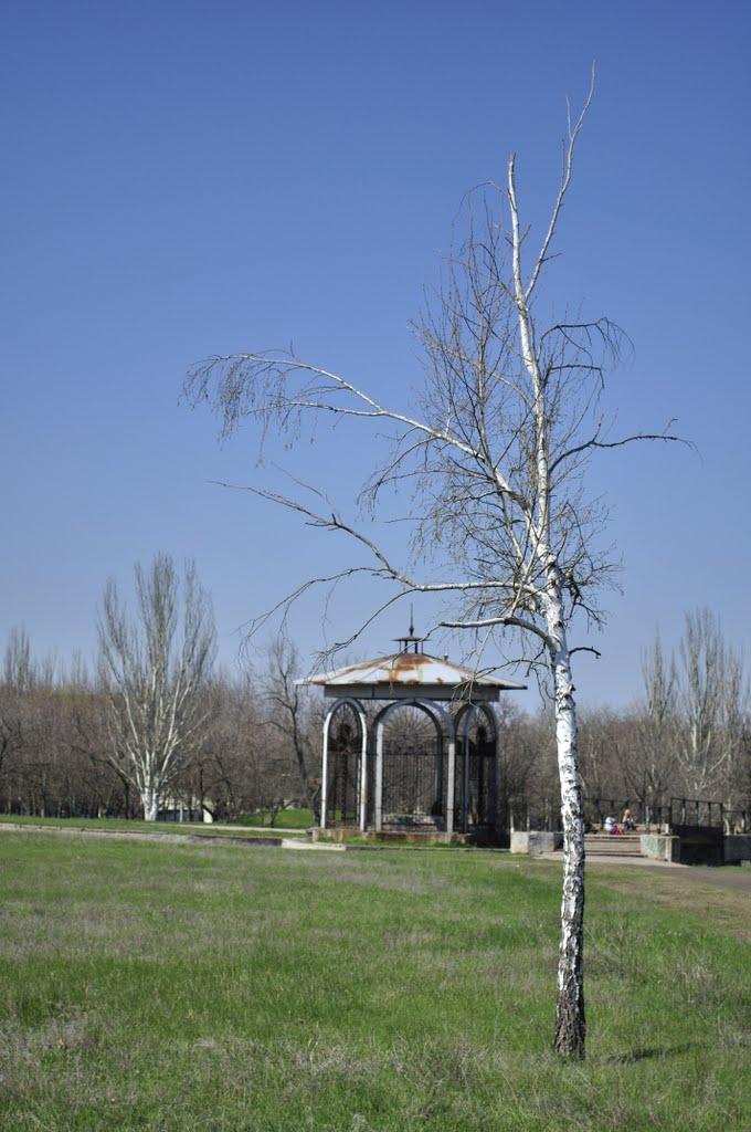 Нікополь з panoramio.com (ч.2) - Никополь