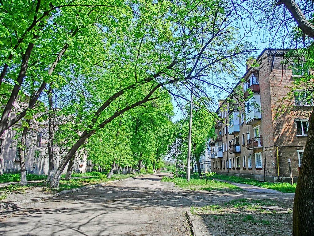 Олександрія з panoramio.com (ч.3) - Olexandria