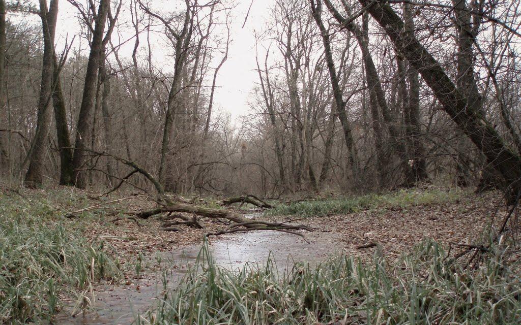 Свидівок з panoramio.com - Свидівок