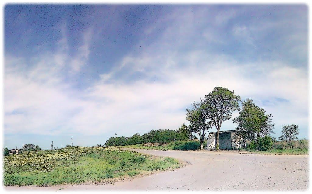 Новозванівка з panoramio.com - Новозванівка