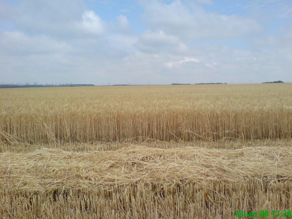 Вершина з panoramio.com - Вершина