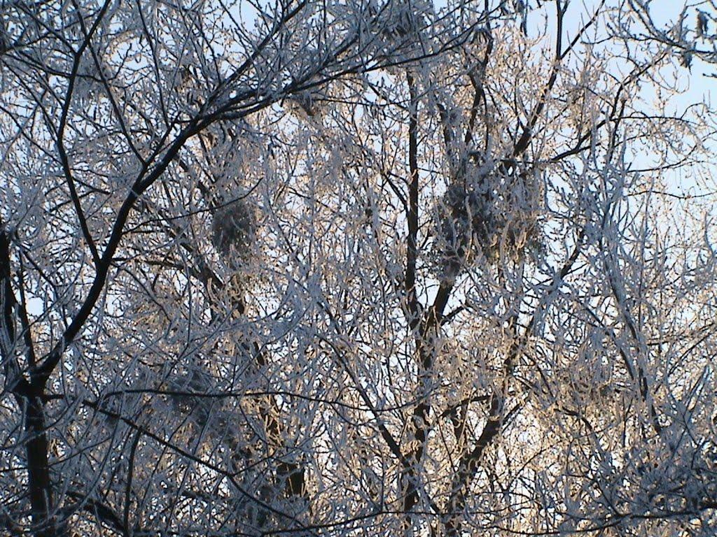 Перемишляни з panoramio.com - Перемишляни