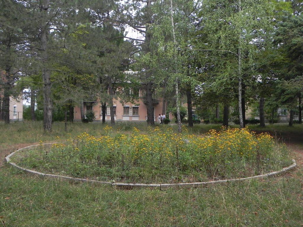 Научний з panoramio.com - Научний