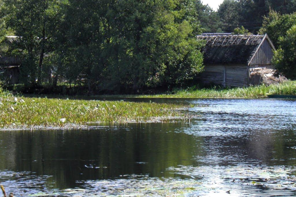 Млин з panoramio.com - Млын