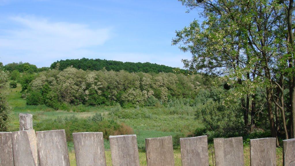 Лубенці з panoramio.com - Лубенці