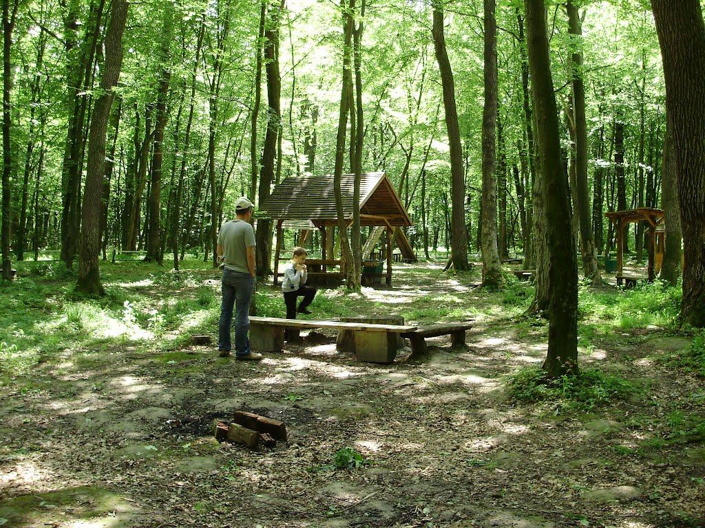 Солонське з panoramio.com - Солонське