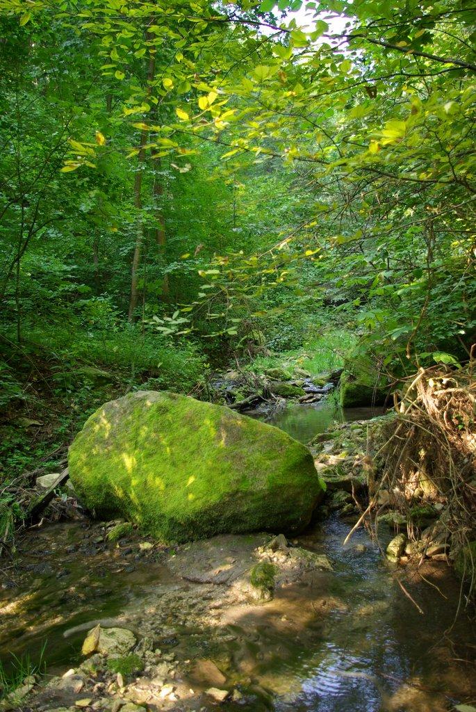 Садківці з panoramio.com - Садківці