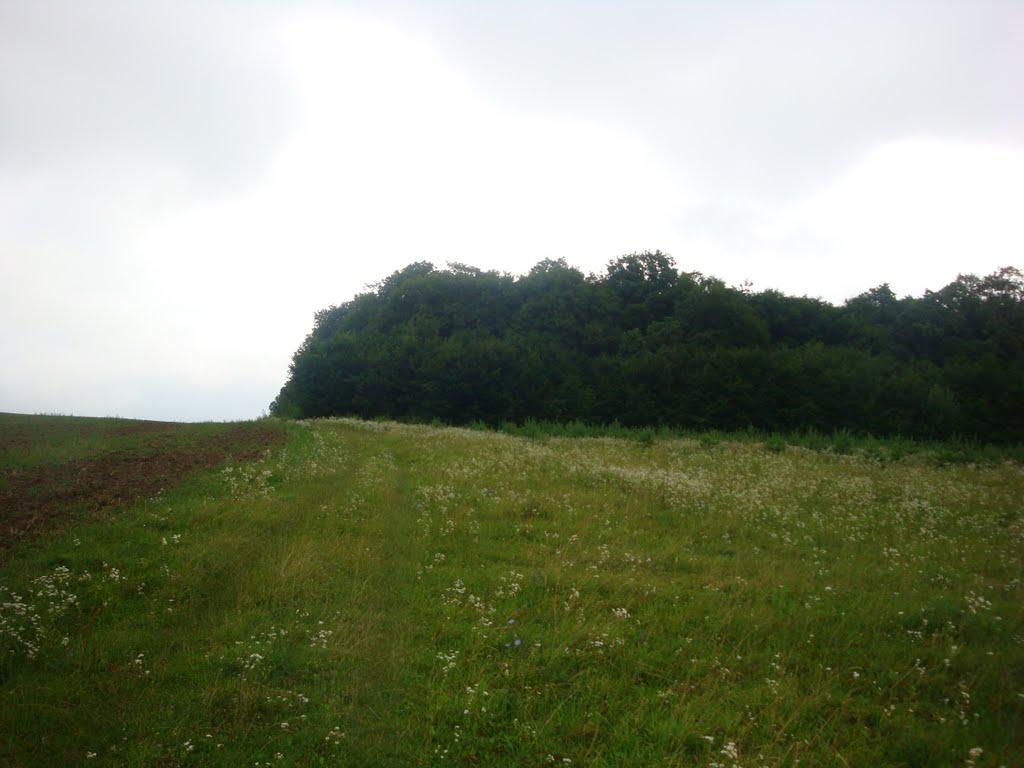 Сокиринці з panoramio.com - Сокиринці