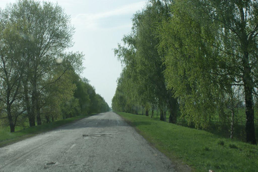 Бакаївка з panoramio.com - Bakayivka