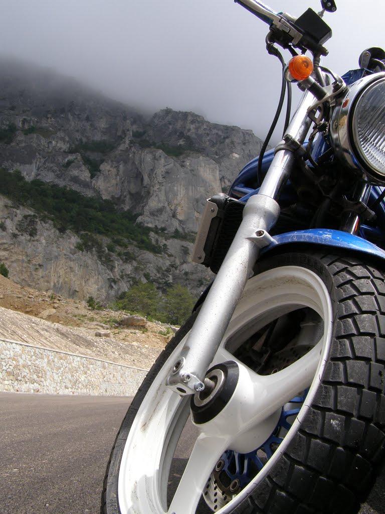 Олива з panoramio.com - Олива