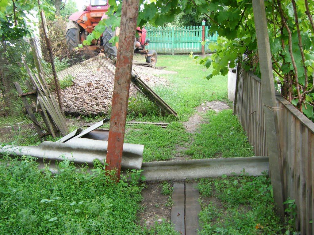 Голикове з panoramio.com - Голикове