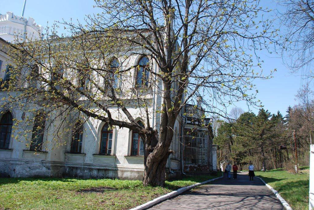 Шарівка з panoramio.com - Шарівка