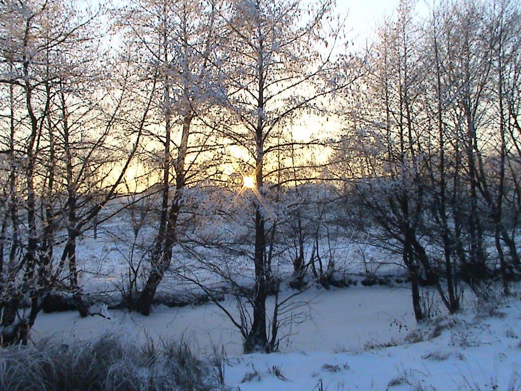 Перемишляни з panoramio.com - Перемишляни