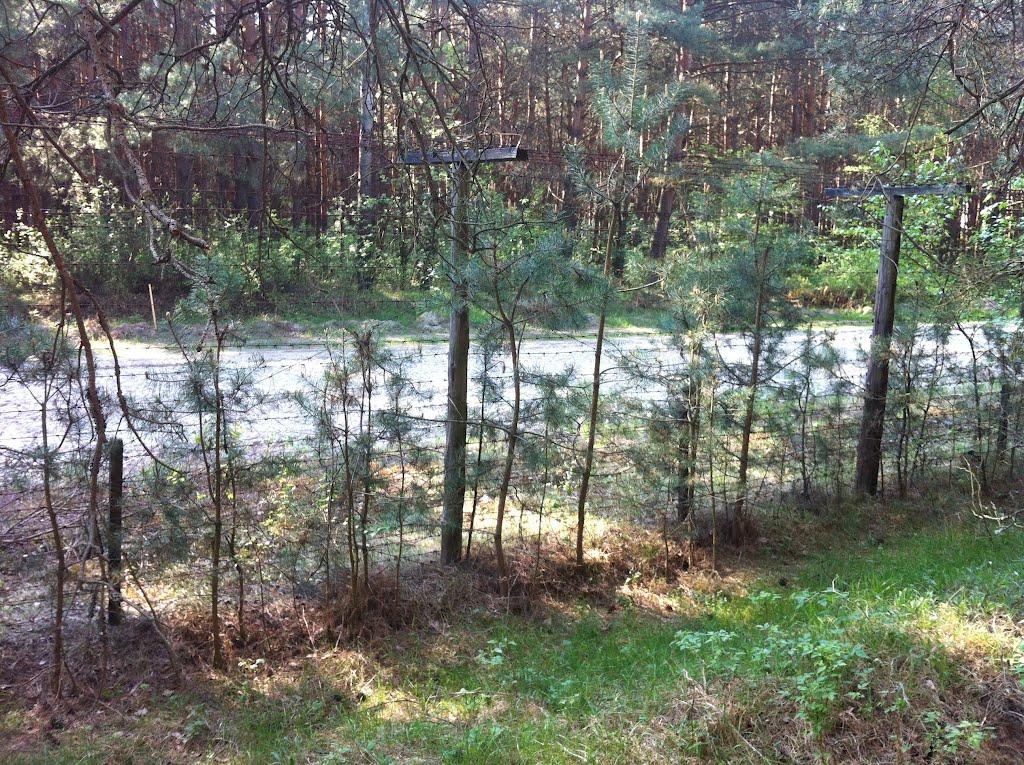 Петрове з panoramio.com - Петрово