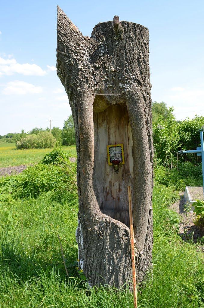 Мусійки з panoramio.com - Мусійки