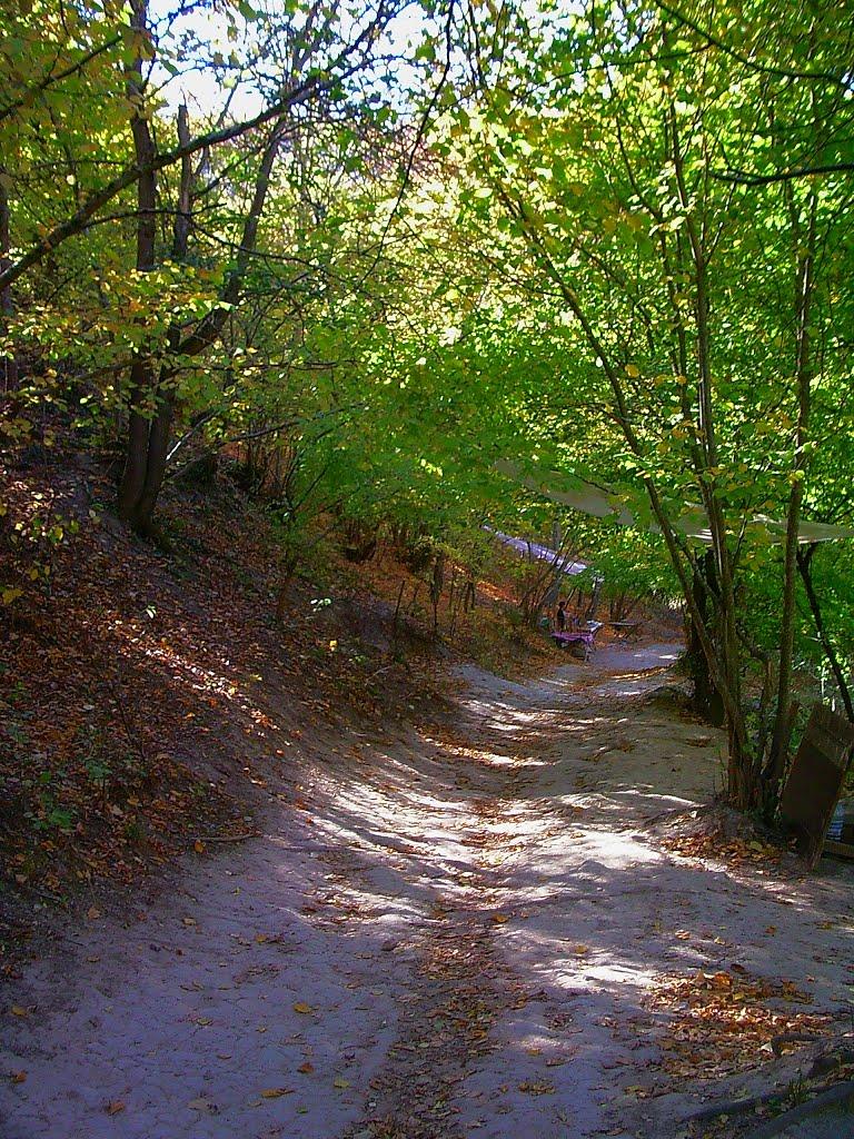 Машине з panoramio.com (ч.2) - Машино