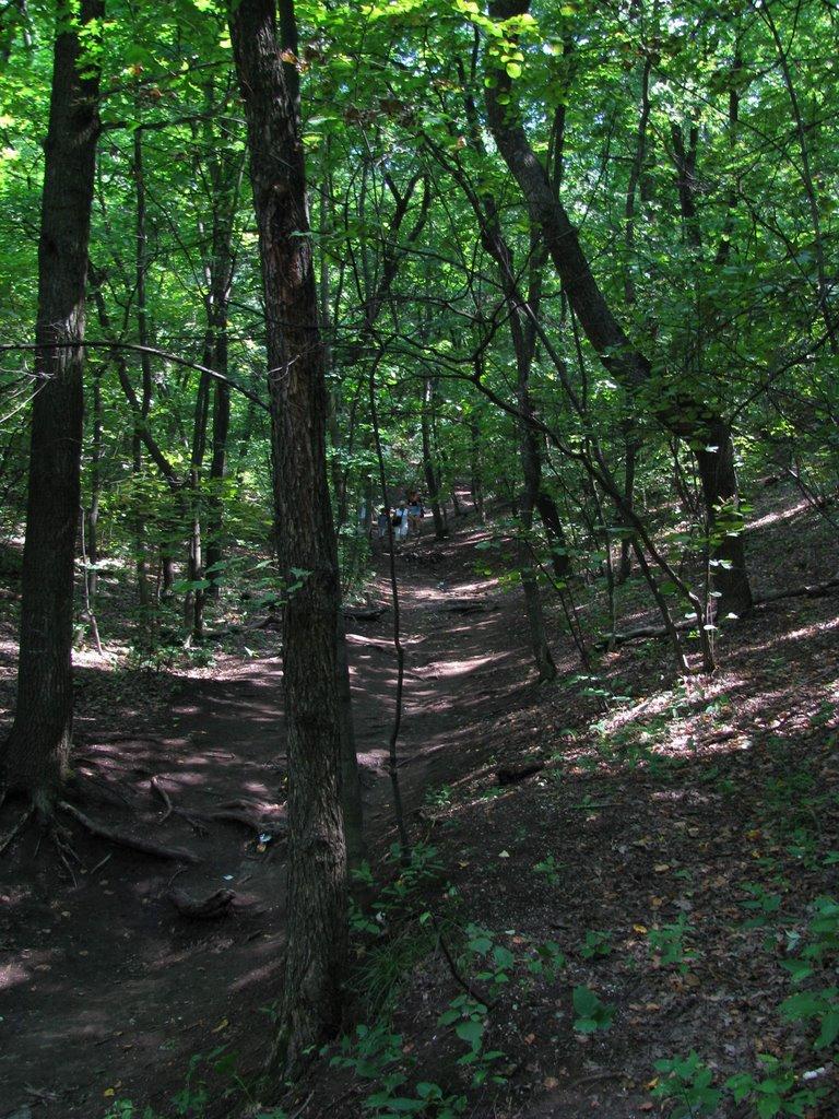Тетянівка з panoramio.com (ч.2) - Тетянівка