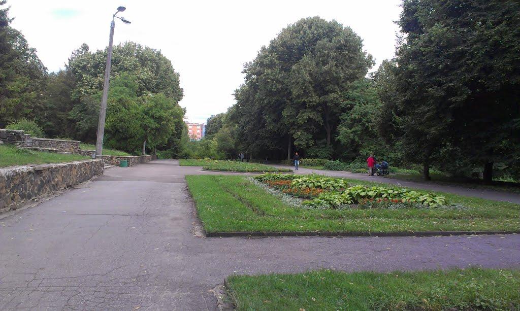 Рівне з panoramio.com (ч.5) - Ровно