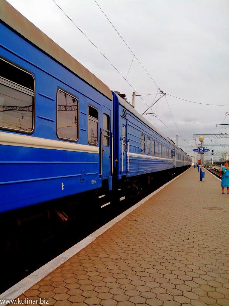 Мелітополь з panoramio.com (ч.2) - Мелитополь
