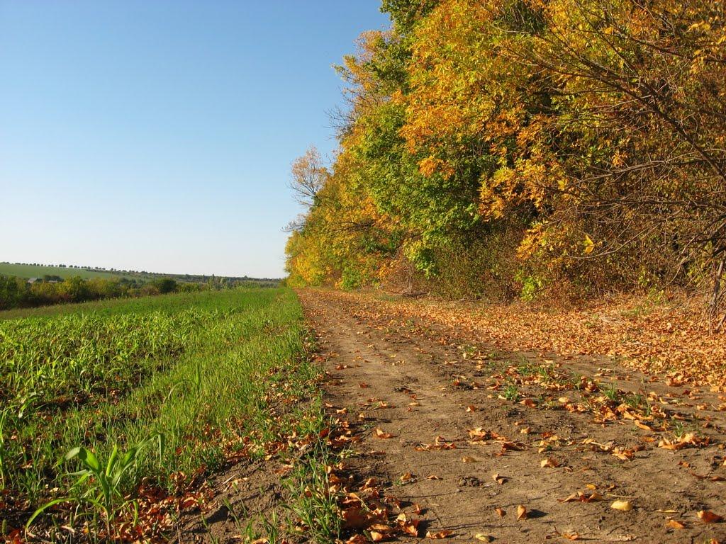 Домниця з panoramio.com - Домница