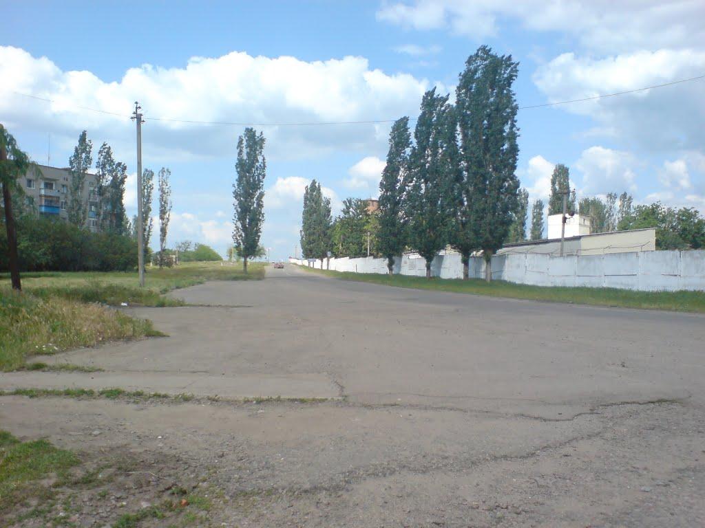 Вознесенськ з panoramio.com - Вознесенськ