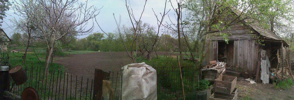 В'язове з panoramio.com - В'язове