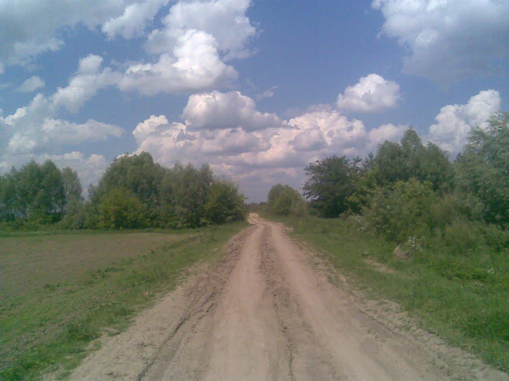 Вихвостів з panoramio.com - Вихвостів