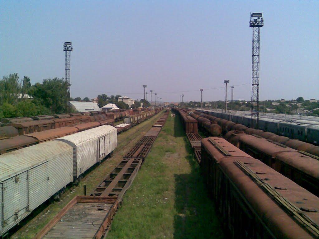 Серпневе з panoramio.com - Серпневе