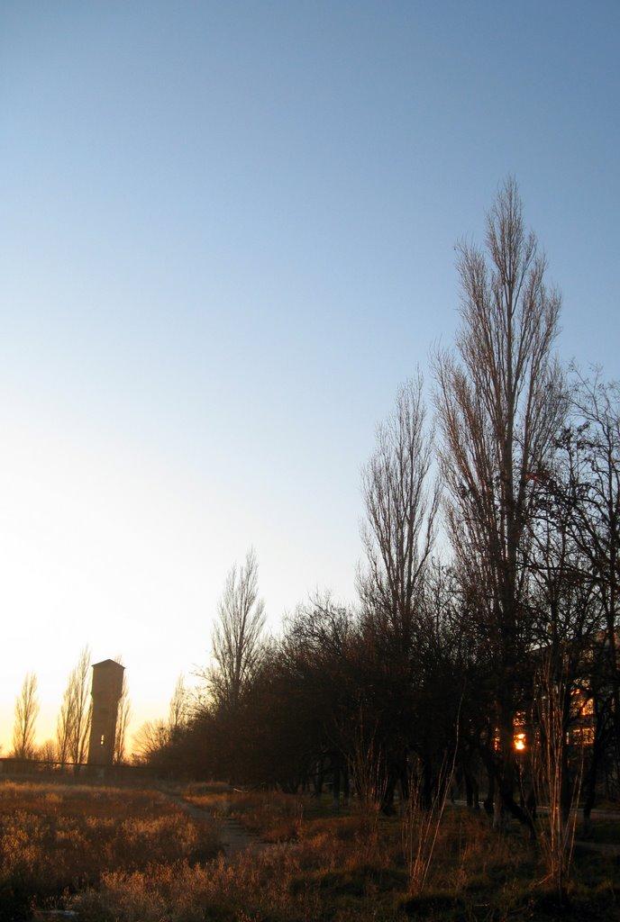Шкільне з panoramio.com - Шкільне