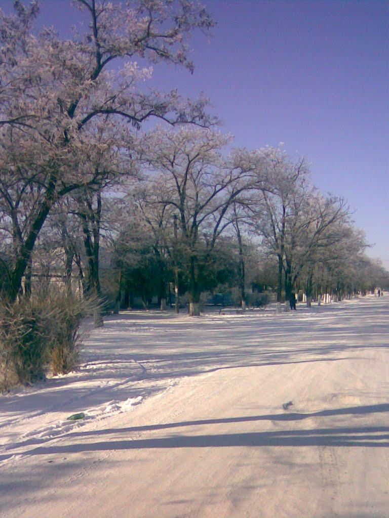 Полтавка з panoramio.com - Полтавка