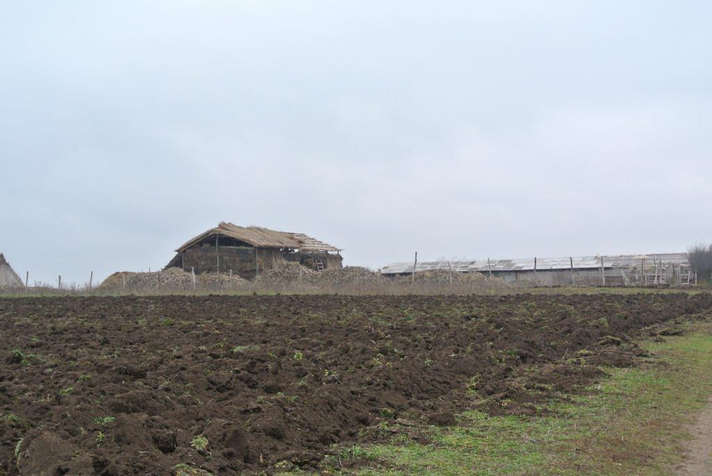 Чистоводне з panoramio.com - Чистоводне