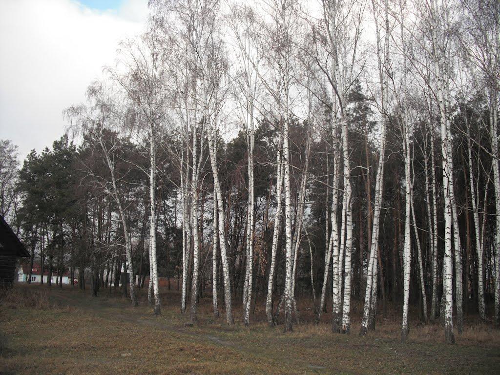 Любитове з panoramio.com